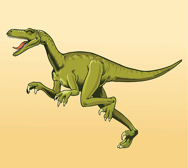 Veliciraptor Image placed on separate layer. Background easy to remove if needed. raptor dinosaur stock illustrations