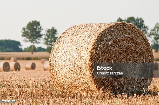 Słoma Rolki Na Lato Pole Rolnika - zdjęcia stockowe i więcej obrazów Balot - Balot, Bez ludzi, Fotografika