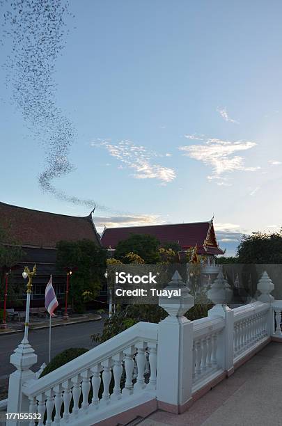Cientos De Millones De Murciélagos At Wat Khao Chong Pran Ratchaburi Tailandia Foto de stock y más banco de imágenes de Aire libre