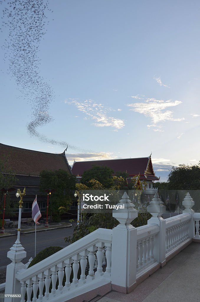 Hundred Million Bats at Wat Khao Chong Pran, Ratchaburi Thailand Bat Wat Khao Chong Pran million at Wat Khao Chong Pran Tam Poon Photharam Ratchaburi province in area bat caves. Bat Cave area within approximately 4 Rai.  Animal Stock Photo