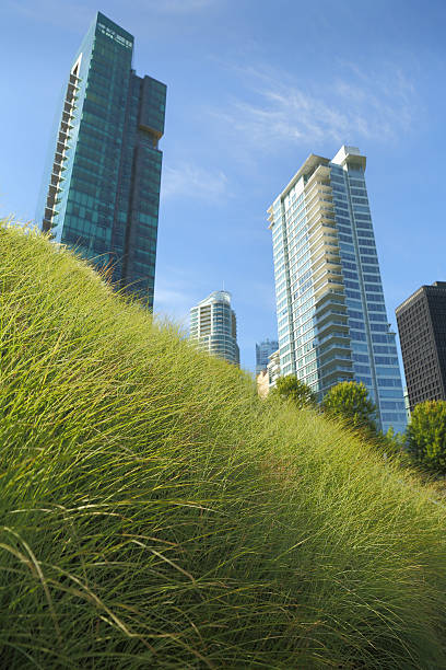 Downtown Green Roof, Vancouver