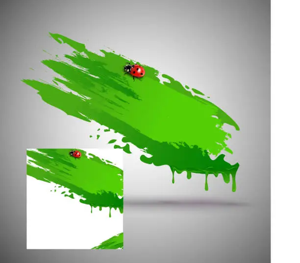 Vector illustration of element for design, in the form of green paint smear