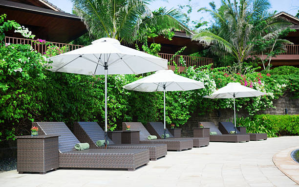 istock Beach chairs on a tropical resort 177156699