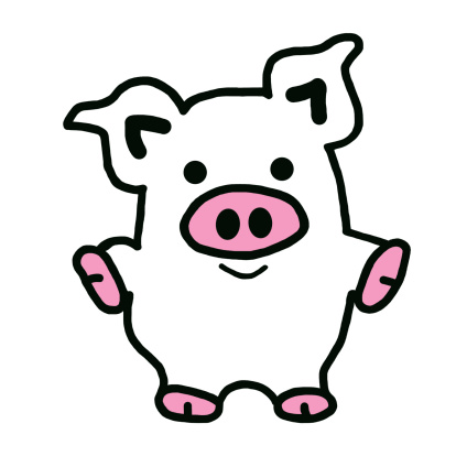 Image of fat pig isolated in white background.