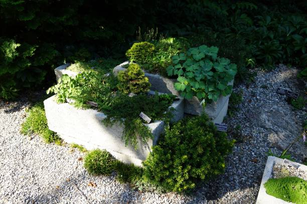 istock The NYBG Rock Garden 08-13-2016 1771606702