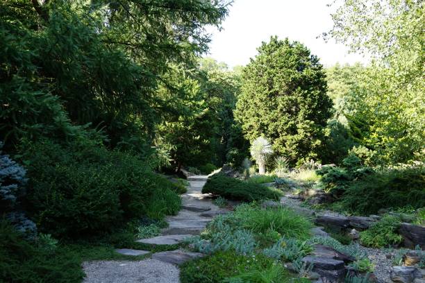 istock The NYBG Rock Garden 08-13-2016 1771608883
