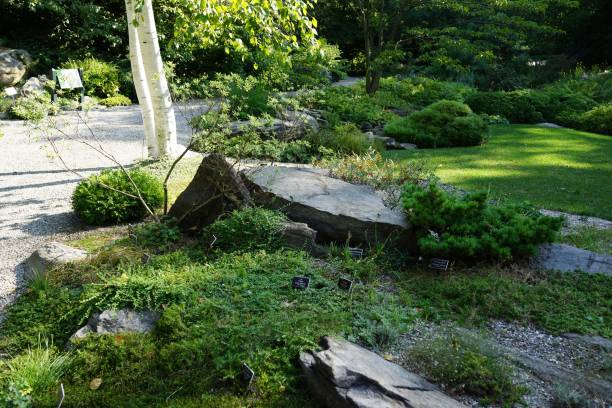 istock The NYBG Rock Garden 08-13-2016 1771609899