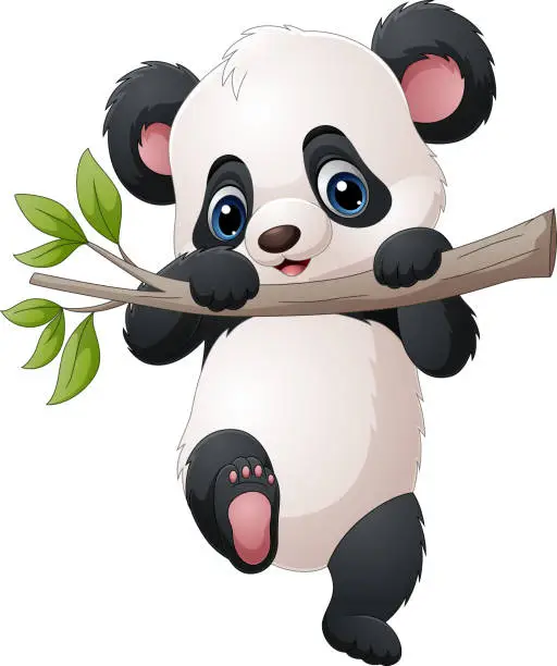 Vector illustration of Cartoon panda hanging on tree branch