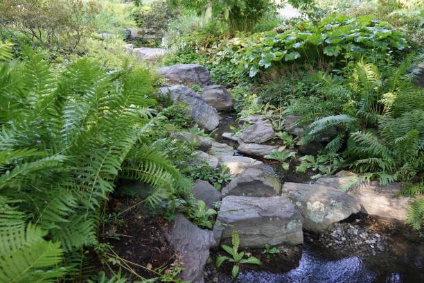 istock The NYBG Rock Garden 08-13-2016 1771611499