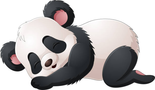 kreskówka panda śpiąca na białym tle - 13411 stock illustrations