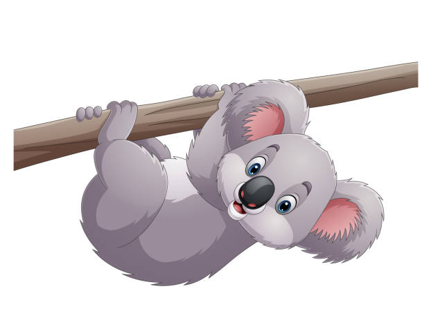 illustrations, cliparts, dessins animés et icônes de koala de dessin animé sur une branche d’arbre - 13414