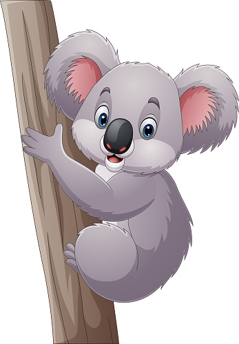 Vector illustration of Cartoon koala on a tree branch