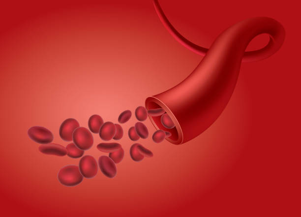 유혈 혈관 - blood cell anemia cell structure red blood cell stock illustrations