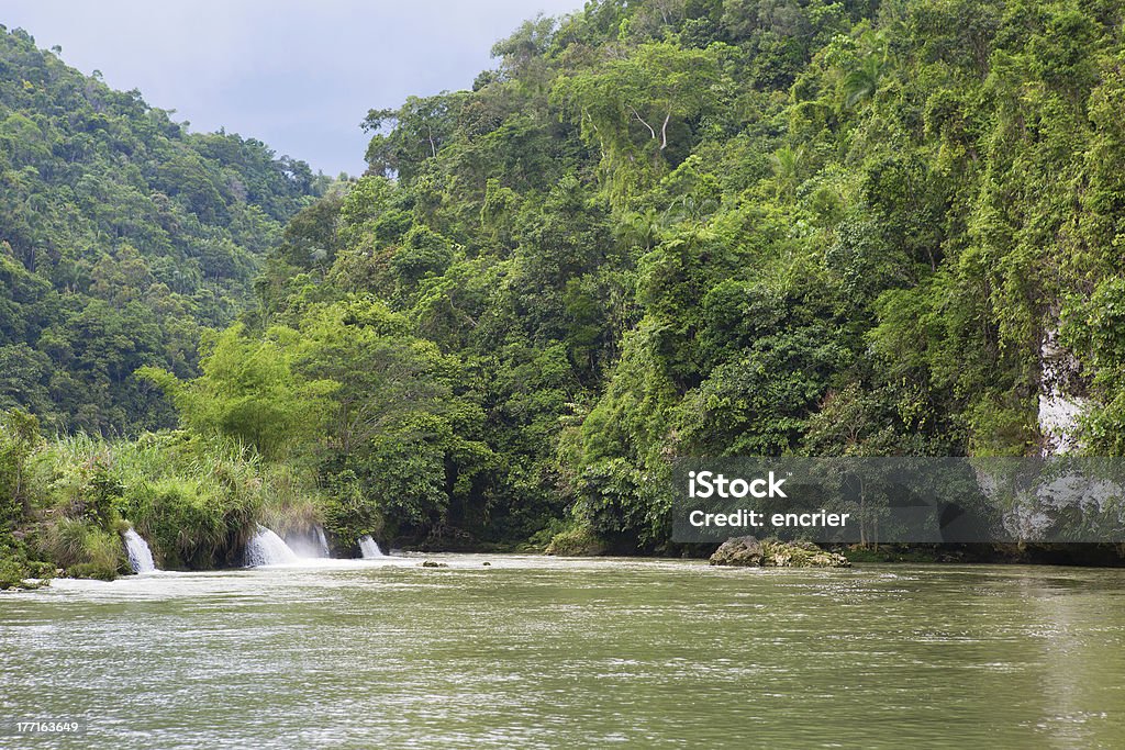 Cascades sur la rivière Loboc, Bohol, Philippines - Photo de Arbre libre de droits