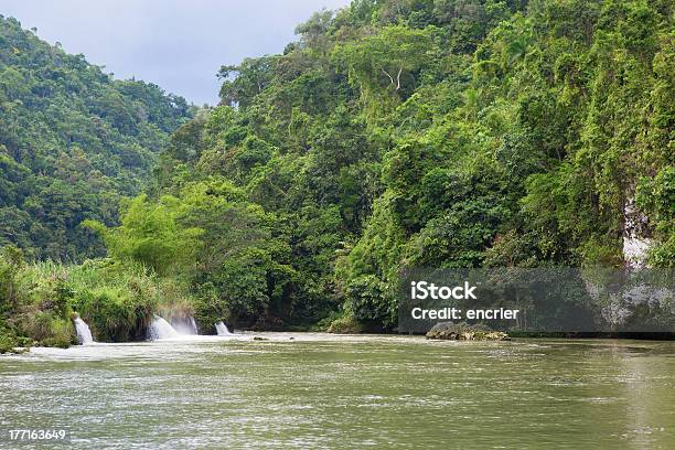 Photo libre de droit de Cascades Sur La Rivière Loboc Bohol Philippines banque d'images et plus d'images libres de droit de Arbre - Arbre, Arbre tropical, Asie