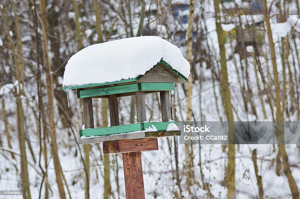Bird feeder Bird feeder in the park during the cold winter Animal Stock Photo