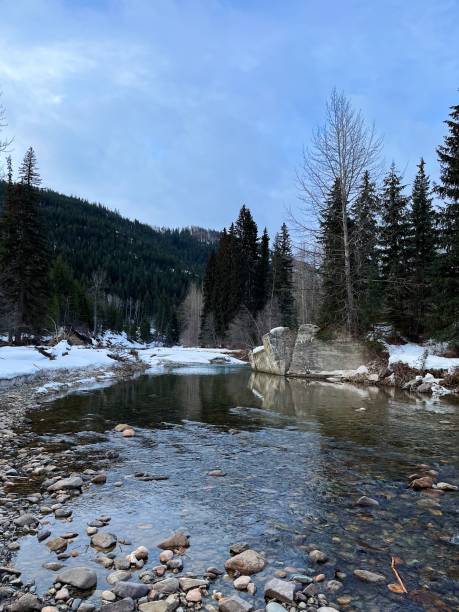 istock The Beauty of Winter 1771680183