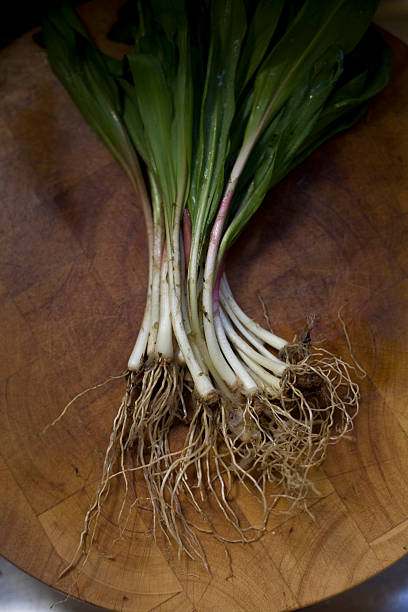 Ramps or wild leeks on a wooden cutting board stock photo