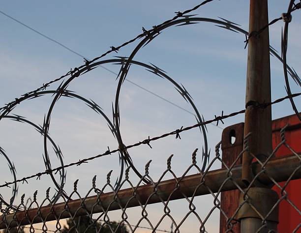 istock Barbed and razor wire on chainlink fence 177170245