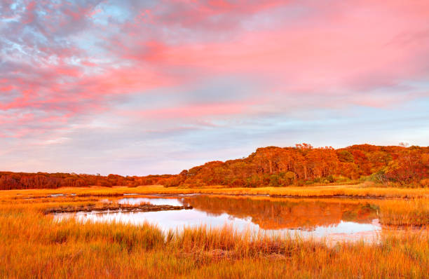 otoño en cape cod - cape cod new england sea marsh fotografías e imágenes de stock