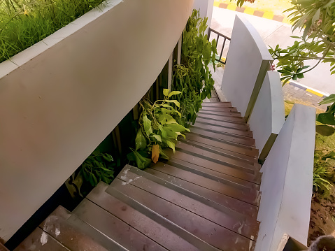 a photogtaphy of a wooden staircase with plants growing on it