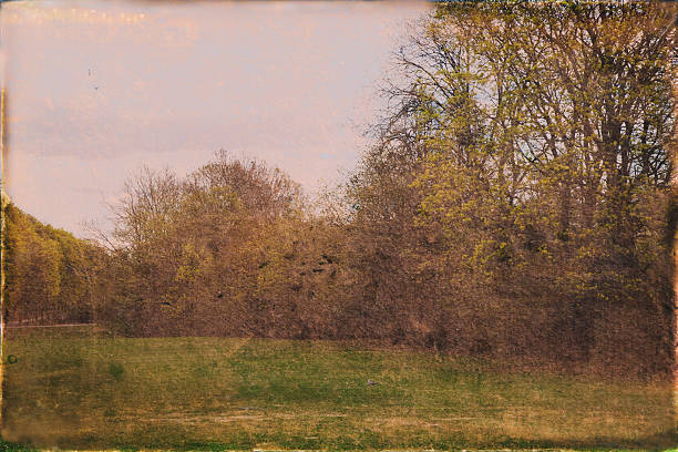 istock Park with green lawn. 177171354