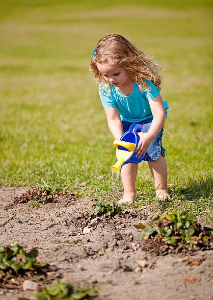 istock Girl Watering Strawberries In Spring 177171390