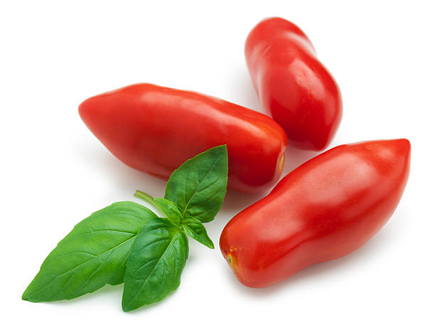 san marzano 토마토 - plum tomato 이미지 뉴스 사진 이미지