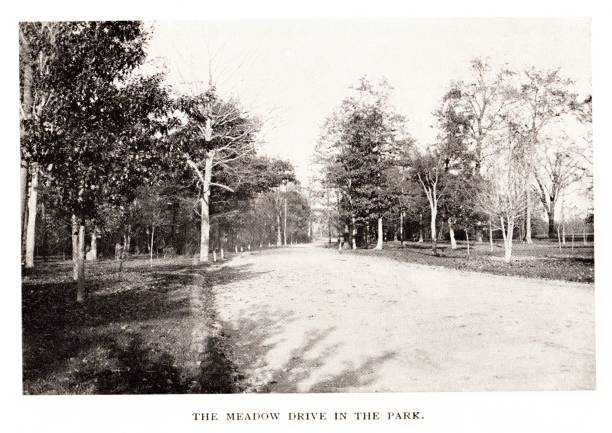 istock Public Park in Buffalo, New York State, United States, Geography 1771730870