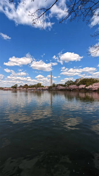 istock Beautiful Spring day at the Capital, Washington DC, USA 1771751465