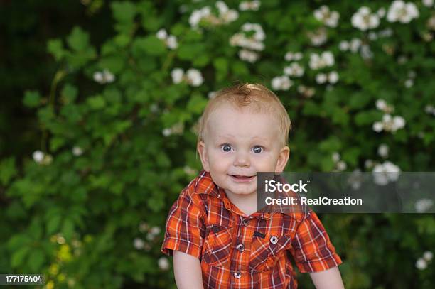 Счастливый Ребенок Сидит За Пределами Спереди Цветов — стоковые фотографии и другие картинки 12-23 месяца