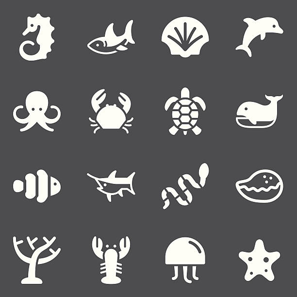 ilustrações, clipart, desenhos animados e ícones de ícones-vida marinha branco series - coral snake