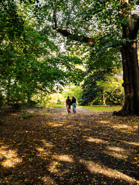 Two people walking on tree-lined park path, early Autumn colors