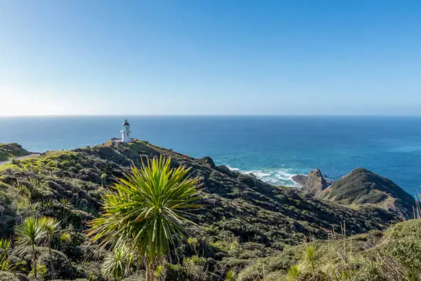 Cape Reinga Northernmost Point of New Zealand, nature landmark in Te Paki Reserve and poupular must-see tourist destination in Northlands, New Zealand