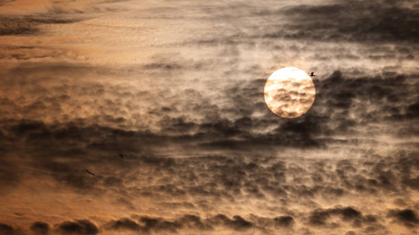The Little Silhouette Bird Hits The White Sun in The Grey Clouds
