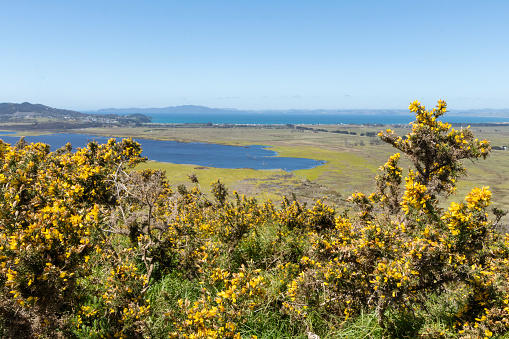 Karikari Peninsula's Ecological Diversity: Landscapes of Lake Waiau, Farmland, and Native Bush in Northland, New Zealand