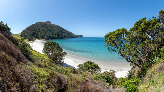 Smugglers Bay, located in the Bream Head Scenic Reserve near WhangÄrei Heads in Northland, New Zealand, is a true hidden gem along the North Island's east coast