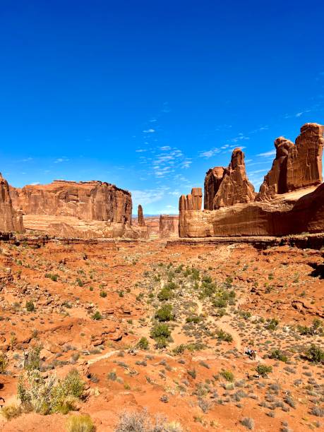istock Park Avenue Viewpoint, Arches National Park, Utah 1771848224