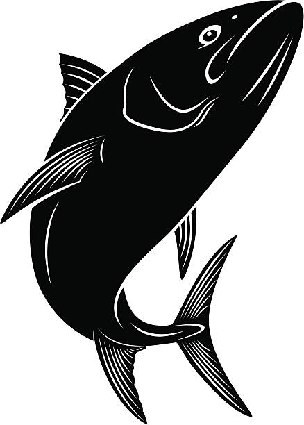 tuna the figure shows a tuna fish black marlin stock illustrations