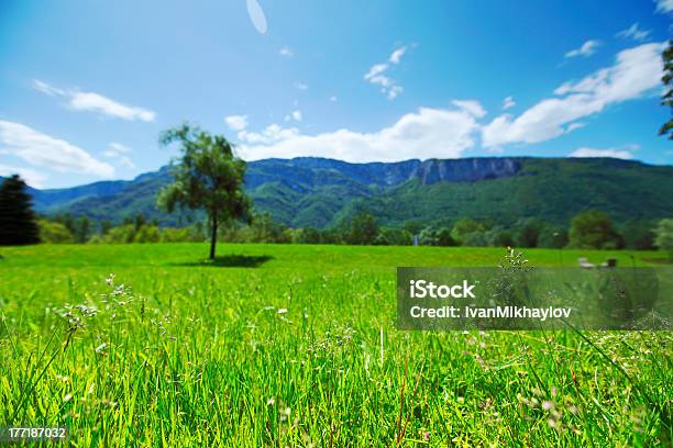 Alpes De Resorte Foto de stock y más banco de imágenes de Aire libre - Aire libre, Alpes Europeos, Austria