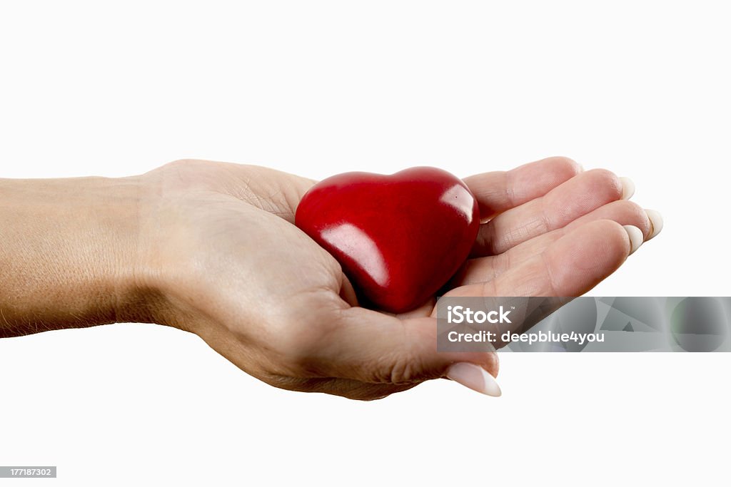 Rotes Herz mit Frau hand auf Weiß - Lizenzfrei Erwachsene Person Stock-Foto