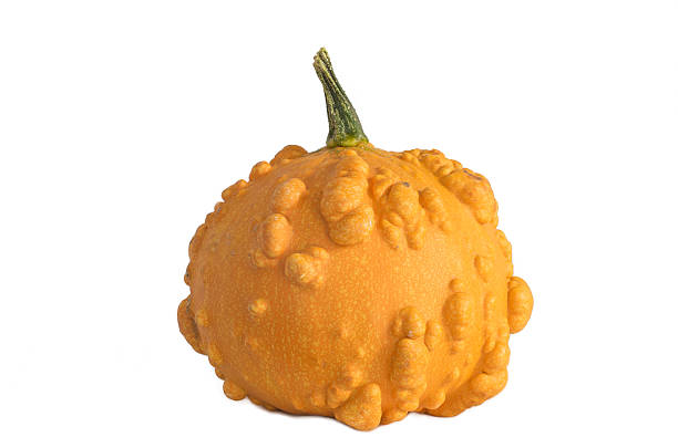 halloween pumpkin stock photo