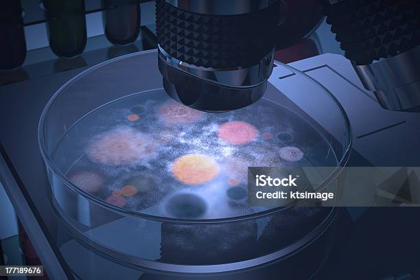 Disco De Petri Bactérias - Fotografias de stock e mais imagens de Ampliação - Ampliação, Analisar, Bactéria