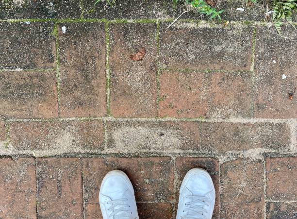 istock Brown soles and white shoes 1771901305