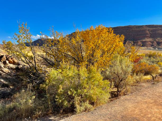 istock Beautiful Scenery , Arches National Park, Moab, Utah 1771901839