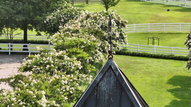 Experience a tranquil moment in the countryside as a bird finds solace atop the wind vane of a picturesque white barn.