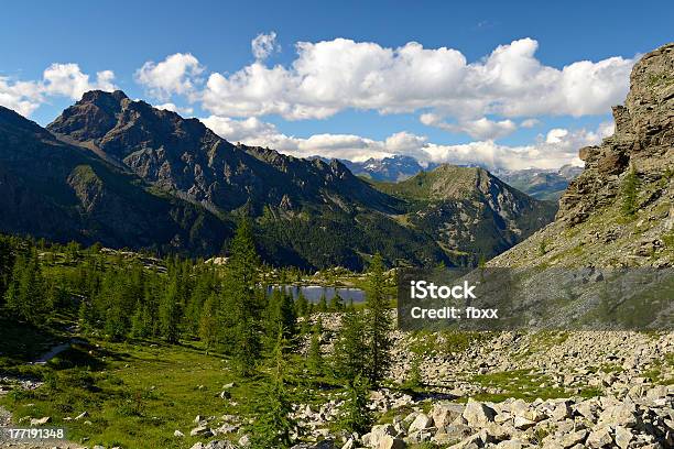 Altitud Alpine Lago Foto de stock y más banco de imágenes de Aire libre - Aire libre, Aislado, Alerce - Árbol de hoja caduca