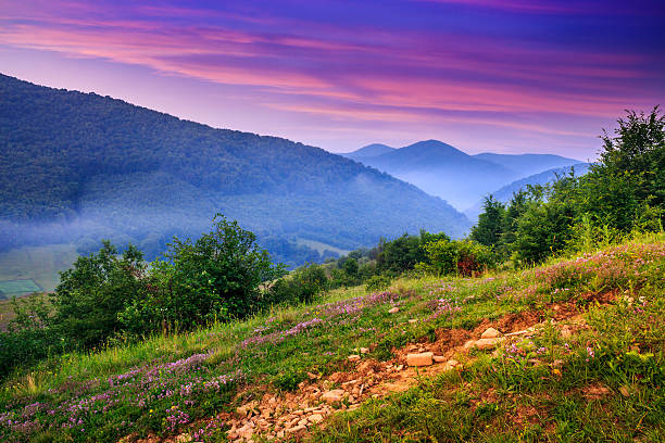 istock standing on a hillside in morning fog 177191392