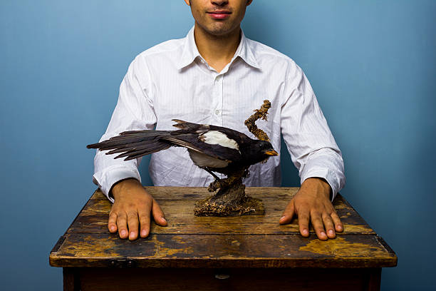 Man with taxidermy magpie