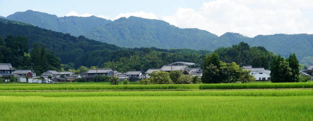 istock Japanese rural landscape 1771920397